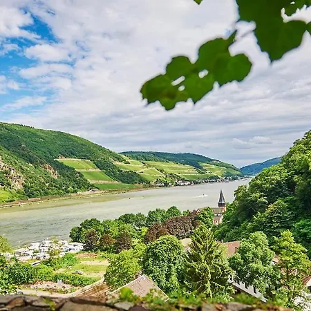 Мини-отель Winzerhof Ross & Rose