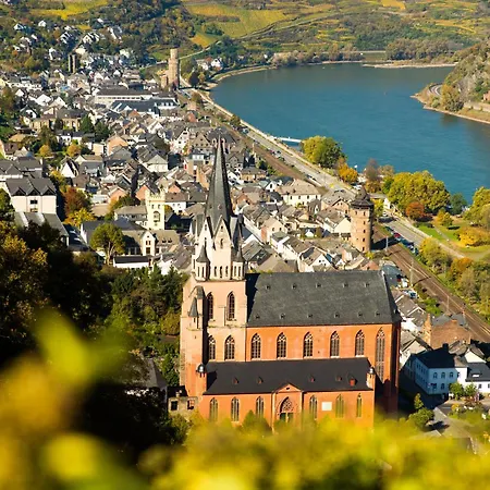 Мини-отель Winzerhof Ross & Rose