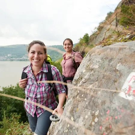 Winzerhof Ross & Rose Мини-отель *