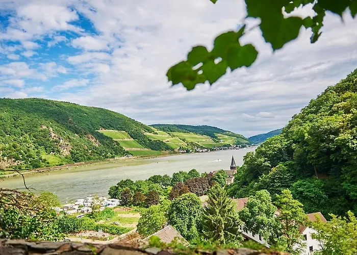 Estalagem Winzerhof Ross & Rose