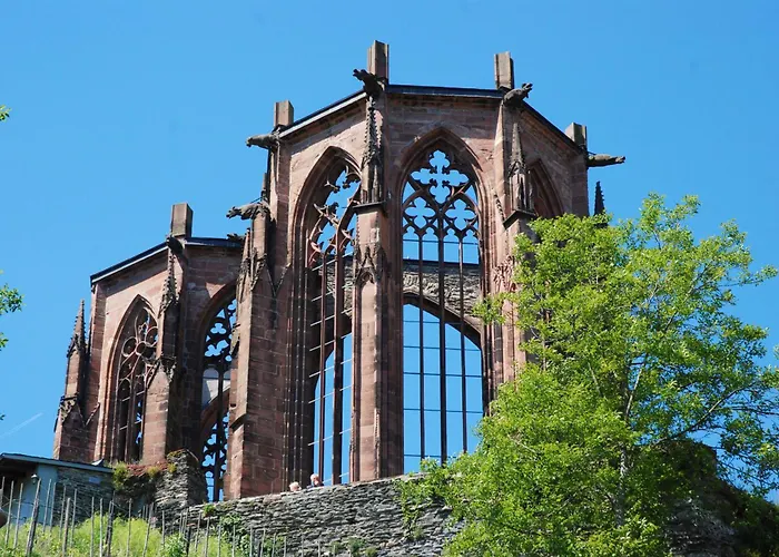 Winzerhof Ross & Rose Estalagem