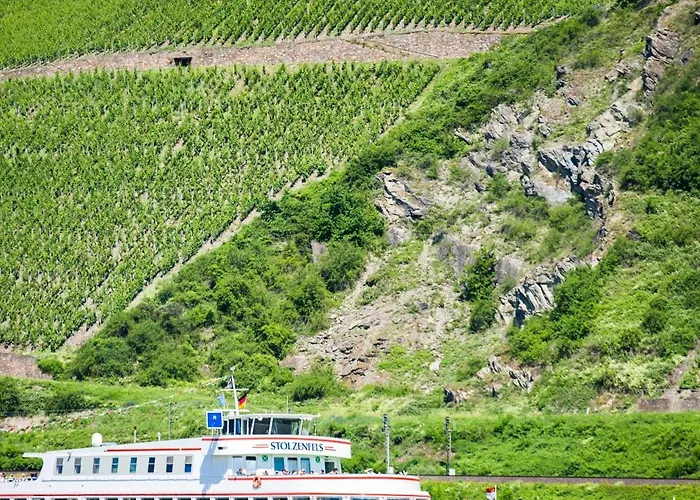 Estalagem Winzerhof Ross & Rose Trechtingshausen