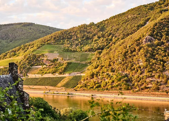 Winzerhof Ross & Rose Estalagem *